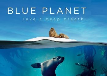 معرفی و بررسی سریال مستند سیاره آبی