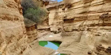 اقامت روی موج